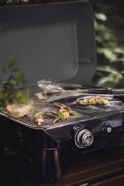 Campingaz Gasgrill Attitude LX -Tepro Verkäufe 2024 5905ecee6554e9bba924005a8743af6b