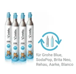 CO2-Zylinder Tausch-Box Für Grohe Blue, Aarke, BritaNEO, SodaPop, 4 X 425g (60 L)