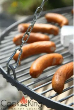 CookKing 22009 Schwenkgrill 200cm - Grillrost Aus Rohstahl 80cm -Tepro Verkäufe 2024 78f551afc0fd1f84d4640a9c706d77de