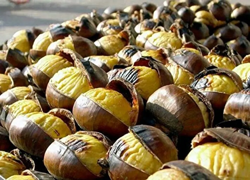 EXCLUSIVE GRANIT MARMOR Elektrogrill Multigrill Kontaktgrill Grill Toaster LAHMACUN + Kasserolle BLACKMODELL 2021 10 EXCLUSIVE GRANIT MARMOR Elektrogrill Multigrill Kontaktgrill Grill Toaster LAHMACUN + Kasserolle BLACKMODELL 2021 – Bild 8