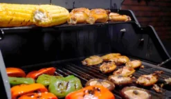 BUSCHBECK Elektrogrill Grenada 2-Brenner -Tepro Verkäufe 2024 cf2bd5c8cec6b3197b0ab52e67153b9d