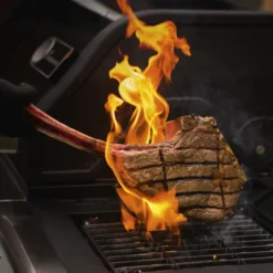 LANDMANN Gasgrill Triton 4.1 MaxX 120 Cm Schwarz Grillwagen Grill Brenner Grillstation BBQ Gas MaxX-Zone Für Maximale Hitze Emailliertem Gusseisen -Tepro Verkäufe 2024 d72a27fa74597e9bd6a7d77981da8855