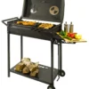 Mangal Köln Schaschlikgrill Grill Mit Deckel 2 Mm Thermometer Ablage Und Schüreisen 1 Mangal Köln Schaschlikgrill Grill Mit Deckel 2 Mm Thermometer Ablage Und Schüreisen -Tepro Verkäufe 2024 ec94b4ccf496f761ae12d2265059743e
