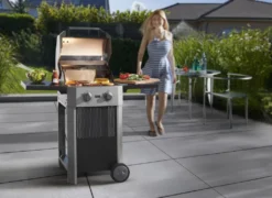 BUSCHBECK Elektrogrill Grenada 2-Brenner -Tepro Verkäufe 2024 f07dd7246b944a8bc7ff34c562651f6e