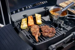 Enders Gasgrill / Tischgrill / Campinggrill Urban Pro 48x32cm -Tepro Verkäufe 2024 f6dda3c649ce10815567759de24d0478